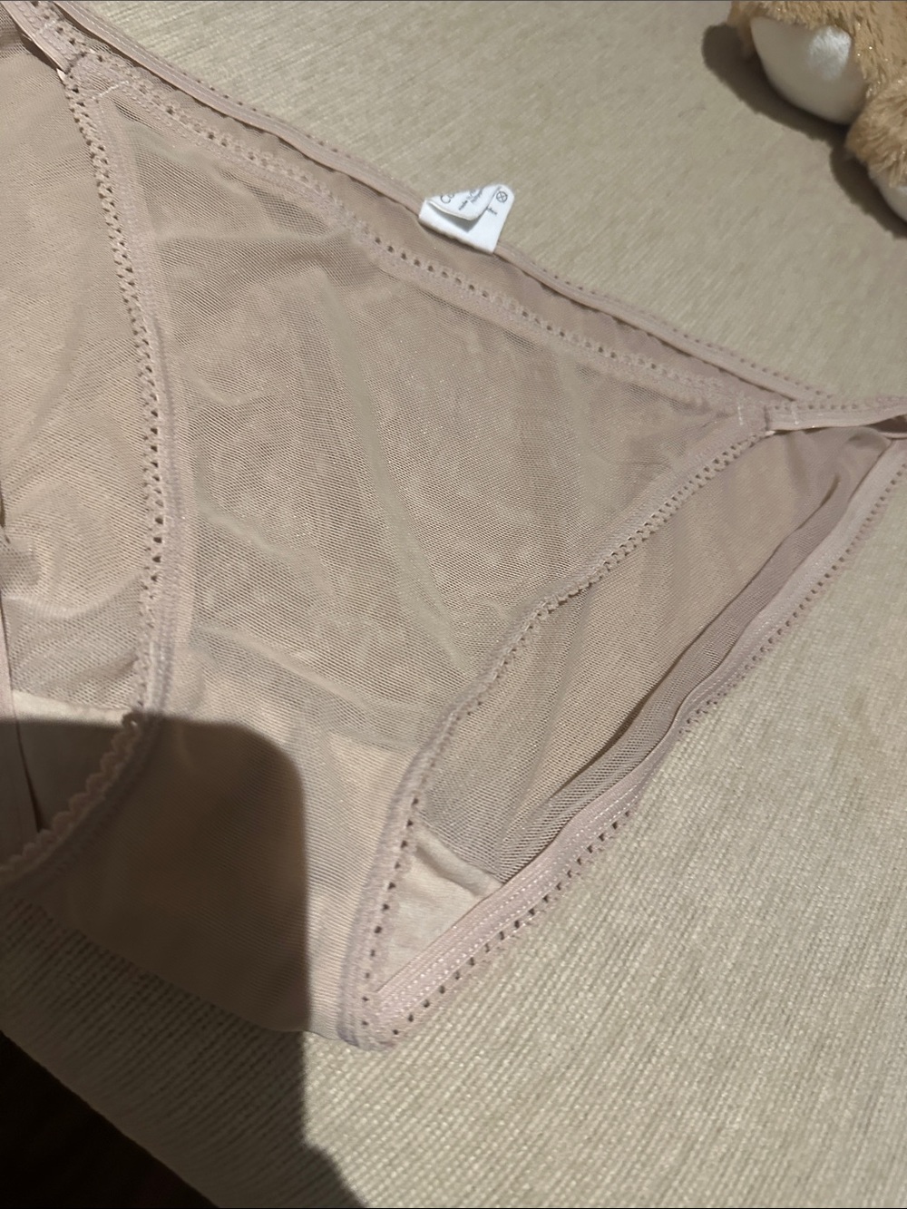 Calvin Klein Nude Sheer Mesh Bikini Panty